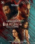 Baaghi204.jpg